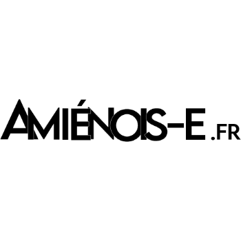 Logo amienois e fr